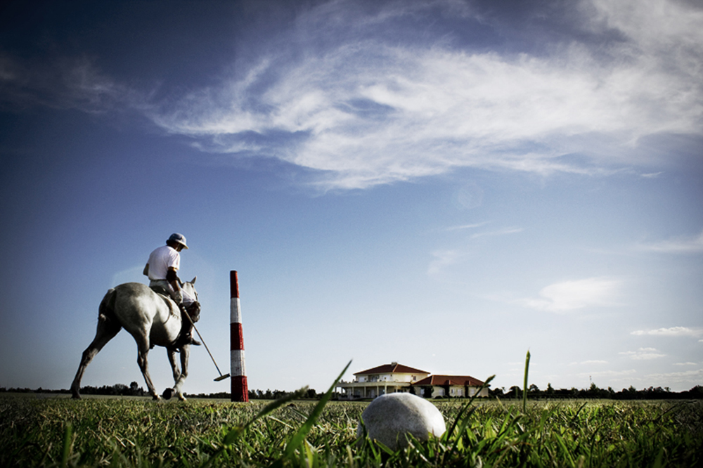 polo, a country affair